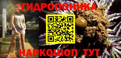 сатива Лесосибирск