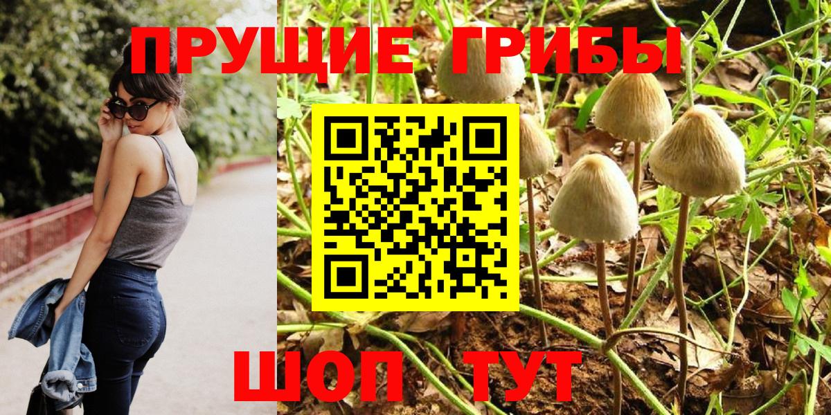 Псилоцибиновые грибы GOLDEN TEACHER  Псилоцибиновые грибы Psilocybe  Вход с VPN  Солнечногорск 